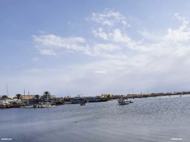 À saisir grand terrain zone urbaine 2100m2 87000dt À saisir grand terrain zone urbaine 2100m2 87000dt