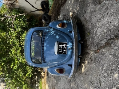 Avendre  coccinelle