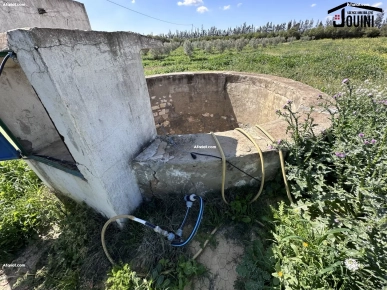 Ferme De 18 Hectares Sur La Route A Zaghouan