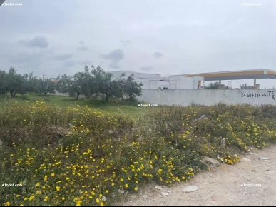 Terrain constructible R+2 à vendre – Route Nabeul-Hammamet (Km 3)