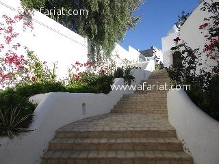 Villa Asma AV406 Hammamet Zone Craxi