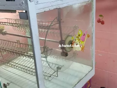 vetrin chaud tikhdem jawha behi w dour  juste ne9sa dahna sghira