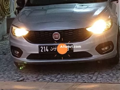 belle tipo