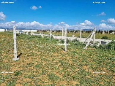 Terrain clôturé de 1000 m² à vendre à 110 MD à Hammamet Sud