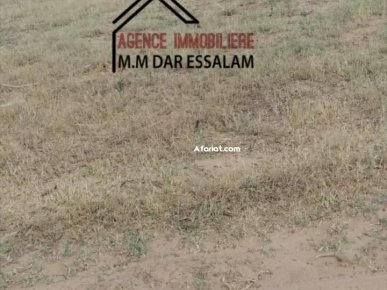 terrain agricole à vendre