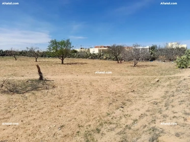 Deux Terrains à Route El-AIn KM 12 Sfax