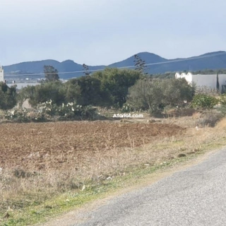 terrain a vendre 28.910817 terrain a vendre 28.910817