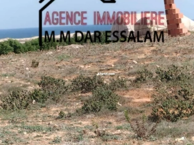 terrain près de la mer