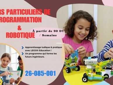 Éducatrice expérimentée en robotique et en programmation