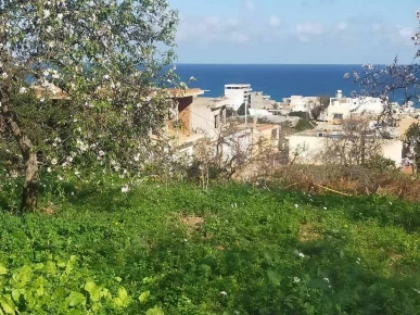 Opportunité Rare: Terrain d'Exception à Rafraf Plage