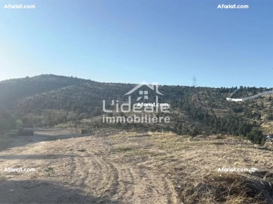 Terrain d’Exception à Hammamet Nord Kharrouba