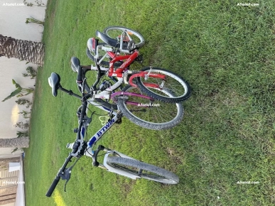 trois vélos en bon état