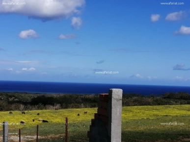 Terrain à vue agréable à Tamozrat