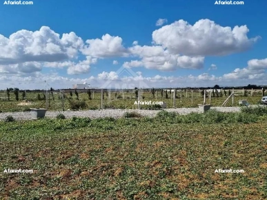 Terrain clôturé de 1000 m² à vendre à 110 MD à Hammamet Sud