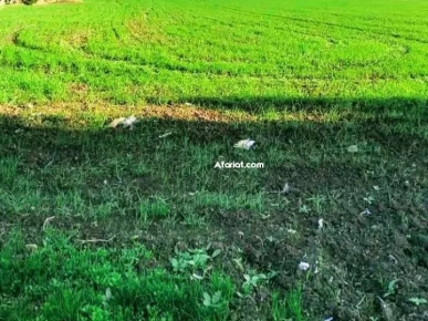 Terrain à vendre Terrain à vendre