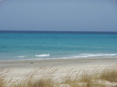 terrain fabuleux à Kélibia
