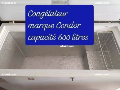 congélateur marque Condor capacité 600 litres