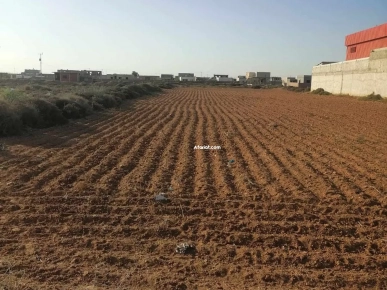 Un beau terrain à vendre à Essaltnia Un beau terrain à vendre à Essaltnia