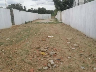 Soukra chotrana 3 coté restaurant el firma