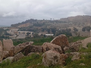 À Vendre – Terrain de 3,5 Hectares avec Gisement de Marbre – Proc