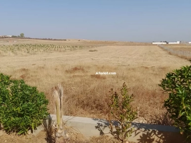 un terrain de 1 hectare à vendre