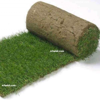 vente et posez gazon naturelle decoration jardin vente et posez gazon naturelle decoration jardin