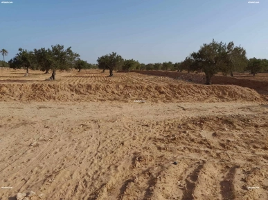 TERRAIN 3 822 M² DIS BEN MESSAOUD EL MAY 4175 DJERBA