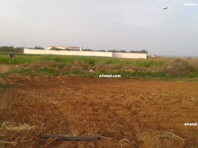 Affaire à ne pas rater Terrain a daroufa Maamoura Nabeul 1022m²