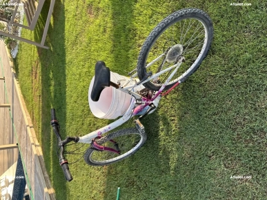 trois vélos en bon état