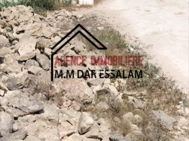 terrain près de la mer