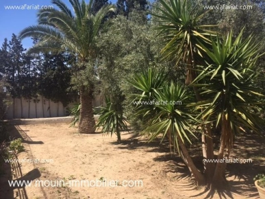 VILLA JEAN CLAUDE Hammamet Nord AV726