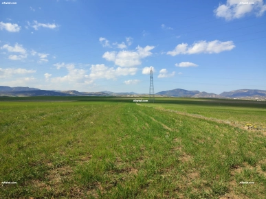 Terrain agricole à vendre à Hammamet ( El Monchar)