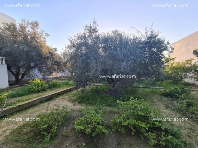 Villa Dina AL2712 Hammamet zone craxi