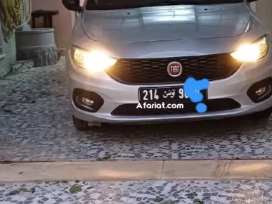 belle tipo