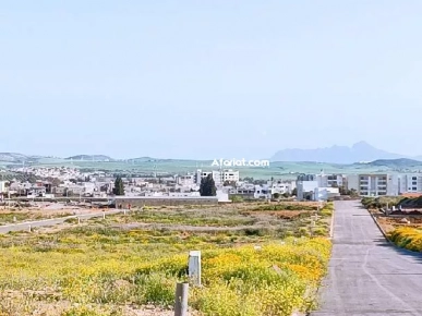 terrain commercial lotissement A.F.H terrain commercial lotissement A.F.H