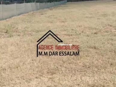 terrain agricole à vendre