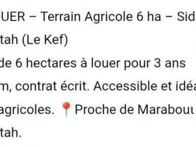Terrain agricole Terrain agricole