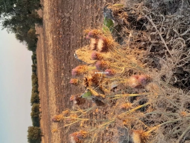 terrain prés de zone indistruel terrain prés de zone indistruel