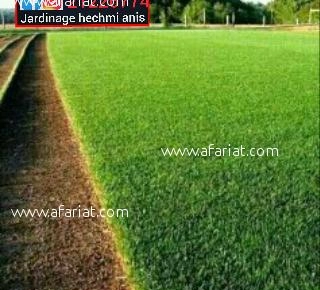 Déco jardin et posez gazon naturelle Déco jardin et posez gazon naturelle