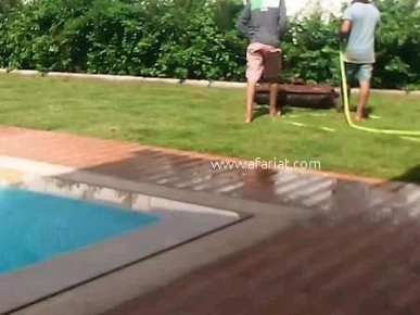 Gazon naturelle américain pasapylum kikouy Gazon naturelle américain pasapylum kikouy