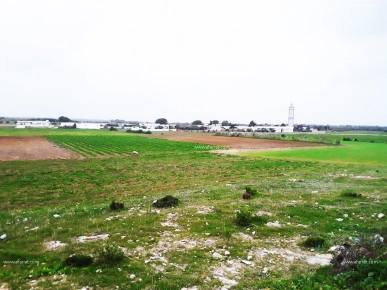 un terrain prés de la plage à kerkouane