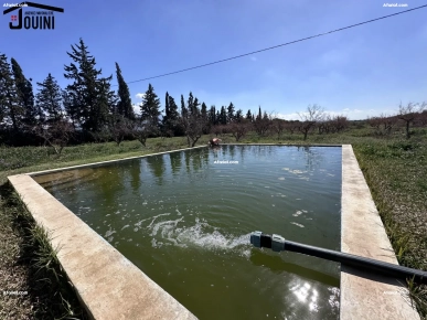 Ferme De 18 Hectares Sur La Route A Zaghouan