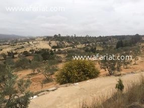 Terrain Viva T342 Hammamet