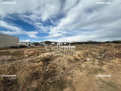 À VENDRE  Terrain Exceptionnel à Hammamet Nord / Ceinture Nabeul