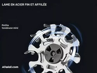 Rasoir électrique portable