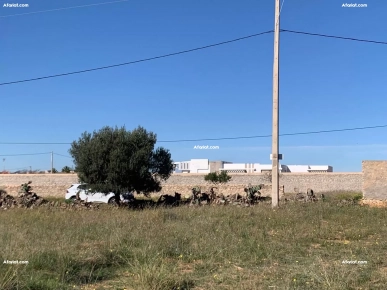 Lot de Terrain à Sfax