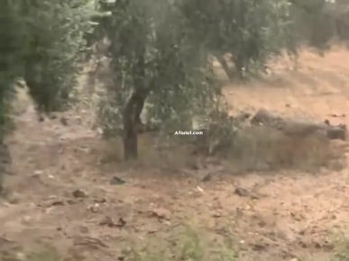 Vendre Terrain agricole