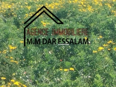 terrain agricole à vendre