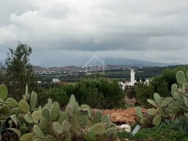 Terrain de 2700 m² à Hammamet Sud à vendre à 200 MD 51355351