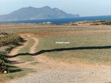 terrain près de la mer